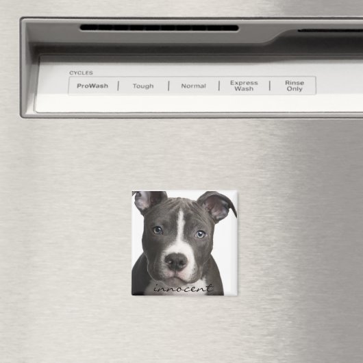 Innocent Pitbull Puppy Magnet (Insitu (Vaatwasser))