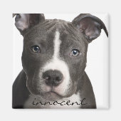 Innocent Pitbull Puppy Magnet (Voorkant)