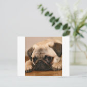 " Innocent " Pug Briefkaart (Staand voorkant)