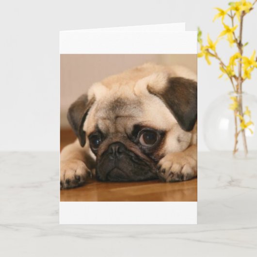 " Innocent " Pug Kaart (Gele Bloem)