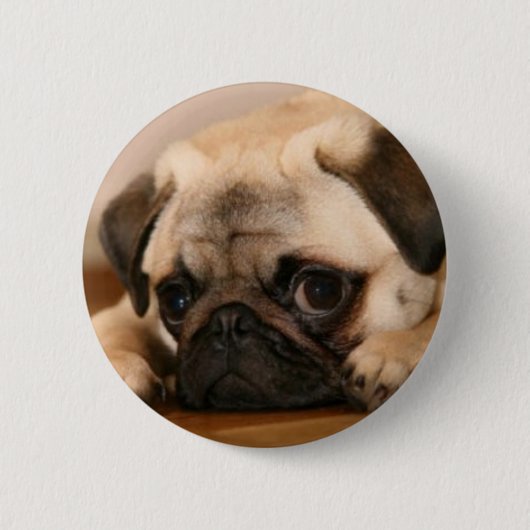 " Innocent " Pug Ronde Button 5,7 Cm (Voorkant)