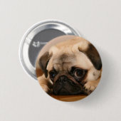 " Innocent " Pug Ronde Button 5,7 Cm (Voorkant /achterkant)