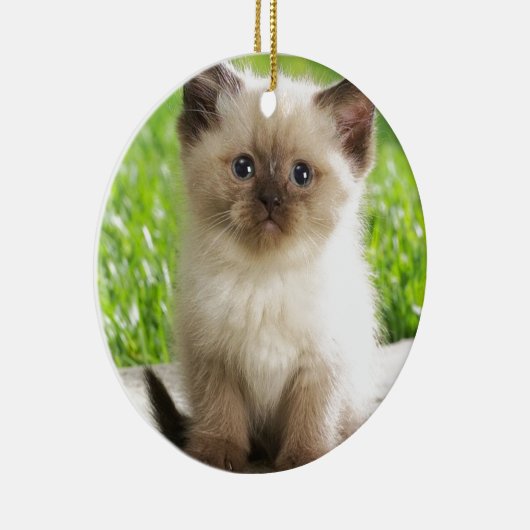 Innocent Ragdoll Kitten Keramisch Ornament (Rechts)