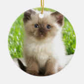 Innocent Ragdoll Kitten Keramisch Ornament (Voorkant)