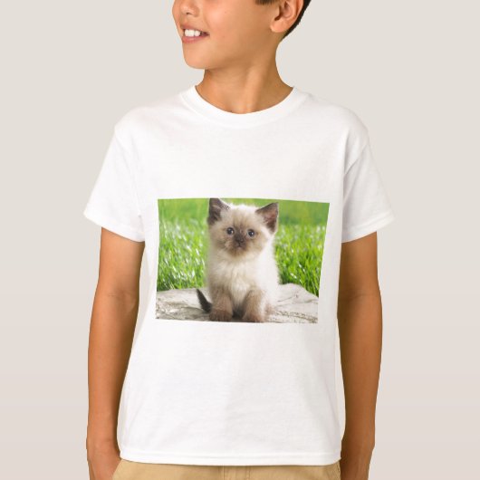 Innocent Ragdoll Kitten T-shirt (Voorkant)