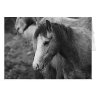 Innocentie door CatMac