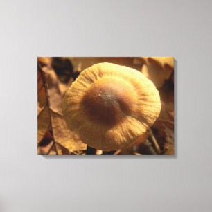Inocybe napipes Mushroom Canvas Print