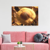 Inocybe napipes Mushroom Canvas Print (Insitu (Woonkamer))