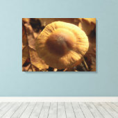 Inocybe napipes Mushroom Canvas Print (Insitu (Houten vloer))