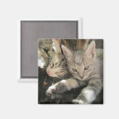 Inoki Kitten Magneet (Voorkant / Achterkant)