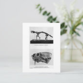 Inostrancevia alexandri art briefkaart (Staand voorkant)