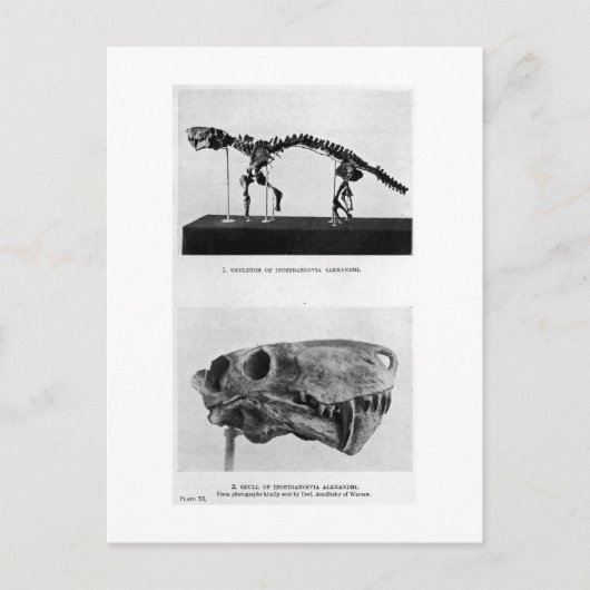 Inostrancevia alexandri art briefkaart (Voorkant)