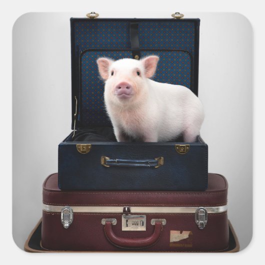 Inpakken Piggy Stickers (Voorkant)