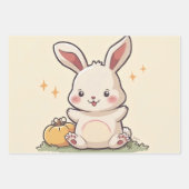 Inpakpapier Flat Sheet Set van 3 Mooie bunny gi (Voorkant)