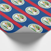 Inpakpapier met vlag van Belize (Hoek)