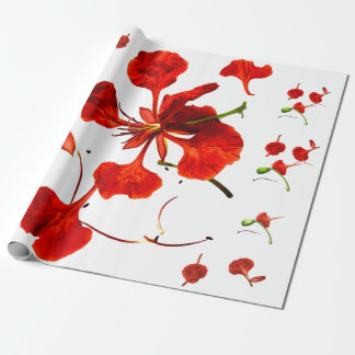 Inpakpapier Royal Poinciana