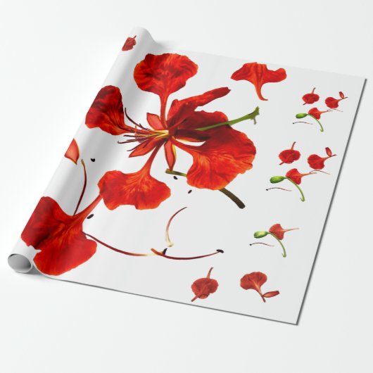 Inpakpapier Royal Poinciana (Uitgerold)