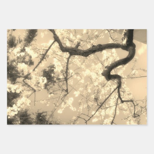 Inpakpapier vellen: Japans Bloemen Collectie (Voorkant 3)