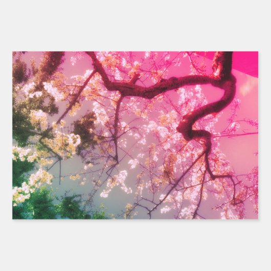 Inpakpapier vellen: Japans Bloemen Collectie (Voorkant 2)