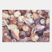 Inpakpapier voor oceaanliefhebbers! (Voorkant 3)