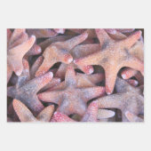 Inpakpapier voor oceaanliefhebbers! (Voorkant 2)