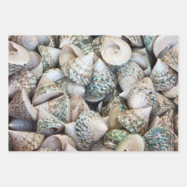 Inpakpapier voor oceaanliefhebbers!