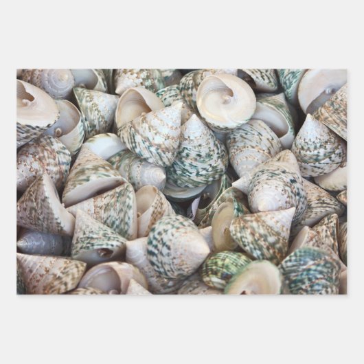 Inpakpapier voor oceaanliefhebbers! (Voorkant)