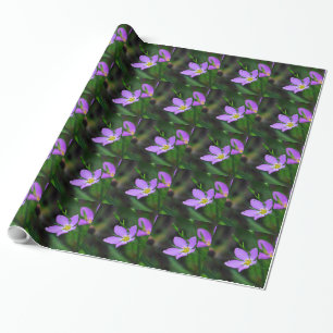 Inpakpapier Wildflower Sabatia in lavendel