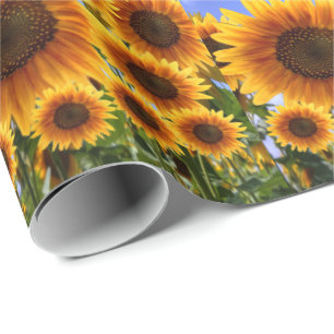 Inpakpapier Zonnebloem