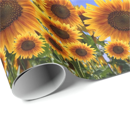 Inpakpapier Zonnebloem (Rol Hoek)