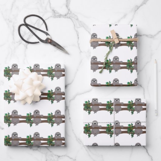 inpakvellen van luiaard inpakpapier vel (Voorkant)