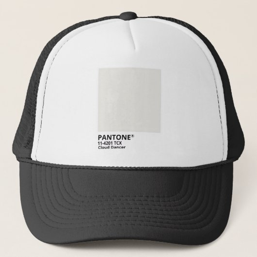 Inpiration pantone 2026 trucker pet (Voorkant)