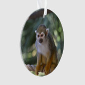 Inquisitie eekhoorn aap ornament (voorkant)