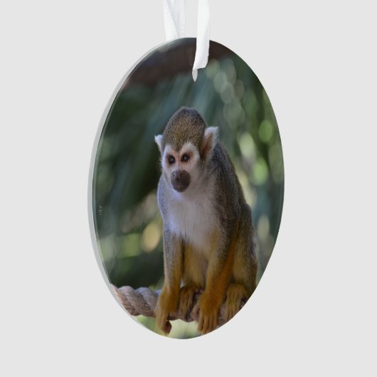 Inquisitie eekhoorn aap ornament (voorkant)