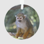 Inquisitie eekhoorn aap ornament (achterkant)