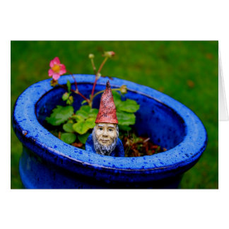 Inquisitief gnome
