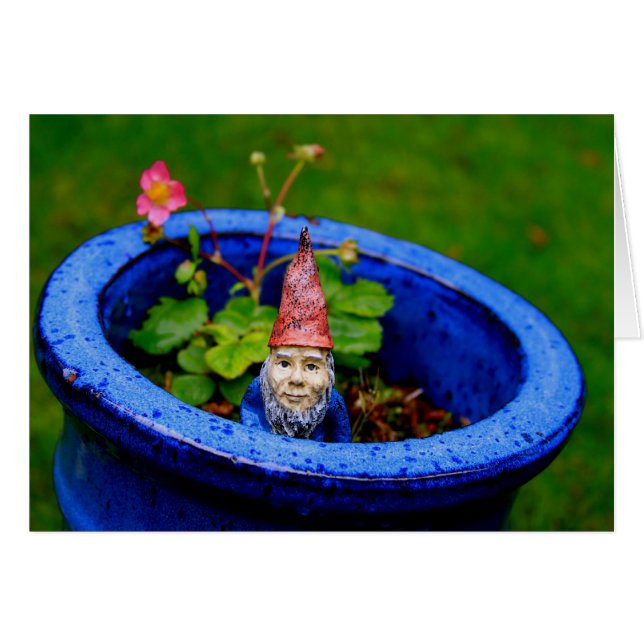 Inquisitief gnome (Voorkant Horizontaal)