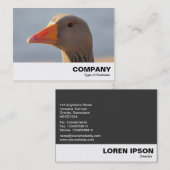 Inquisitief goose visitekaartje (Voorkant / Achterkant)