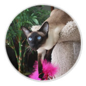 Inquisitief Siamese kat Keramische Knop (Voorkant)