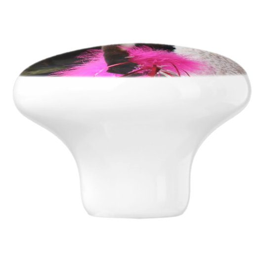 Inquisitief Siamese kat Keramische Knop (Zijkant)