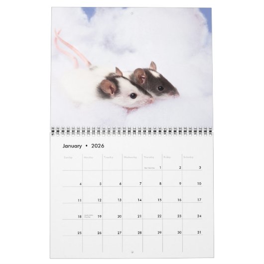 Inquisitieve agenda 2011 kalender (Jan 2026)