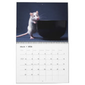 Inquisitieve agenda 2011 kalender (Mar 2026)