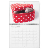 Inquisitieve agenda 2011 kalender (Feb 2026)