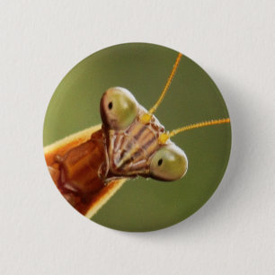 Inquisitieve antibiotica ronde button 5,7 cm