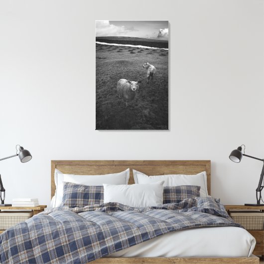 Inquisitieve dartmoor Sheep - Is dat Ewe? Canvas Afdruk (Insitu (Slaapkamer))