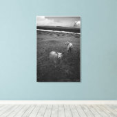 Inquisitieve dartmoor Sheep - Is dat Ewe? Canvas Afdruk (Insitu (Houten vloer))