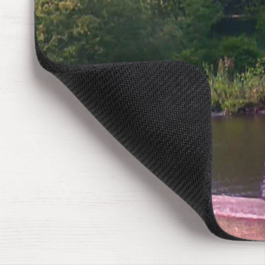 Inquisitieve duif muismat (Hoek)