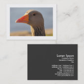 Inquisitieve gans (grens) visitekaartje (Voorkant / Achterkant)
