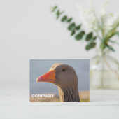 Inquisitieve Greylag Goose Visitekaartje (Staand voorkant)