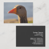 Inquisitieve Greylag Goose Visitekaartje (Voorkant / Achterkant)